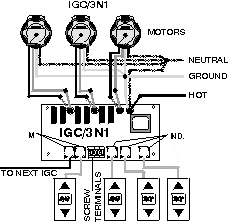 IGC 3N1